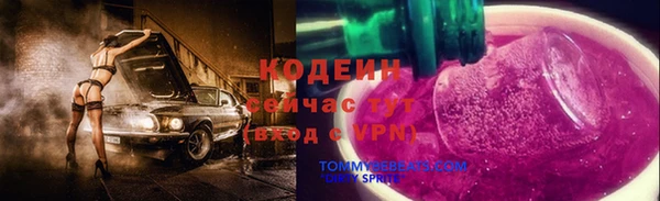 spice Краснослободск