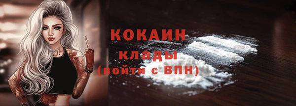 Альфа ПВП Ладушкин