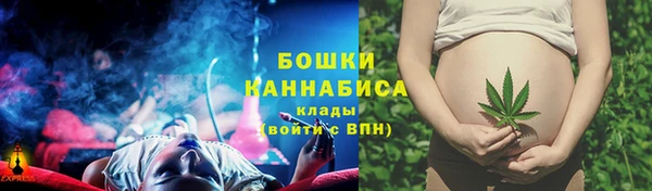 spice Лагань