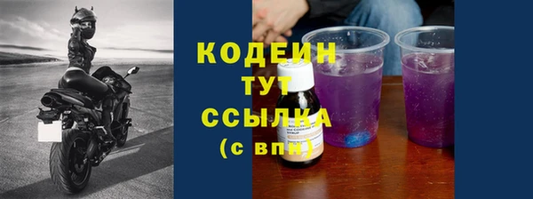 spice Лагань