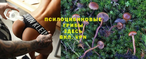 стаф Липки