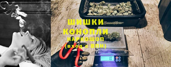 spice Лагань